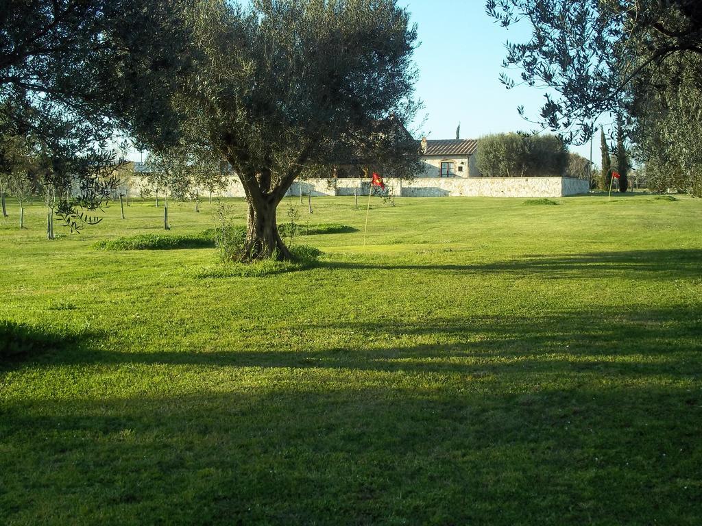Agriturismo Lupo Cerrino Tarquinia Exterior foto