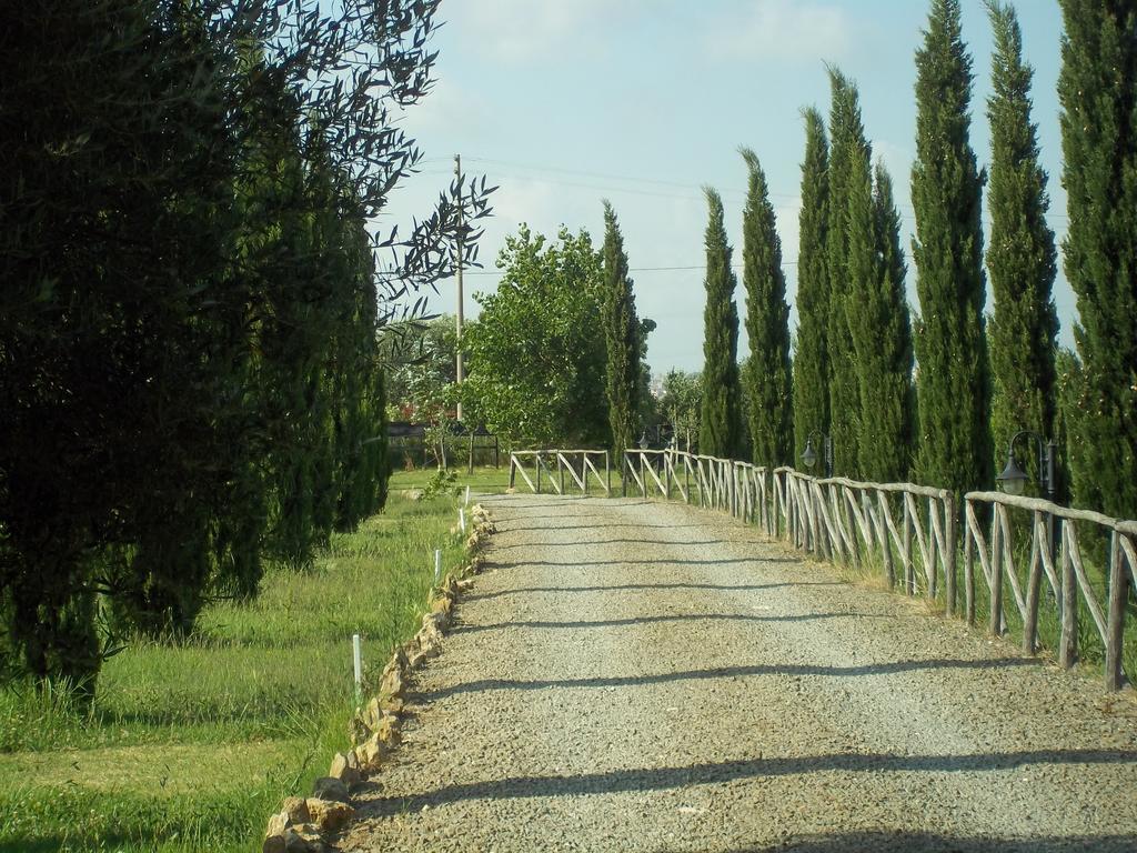 Agriturismo Lupo Cerrino Tarquinia Exterior foto
