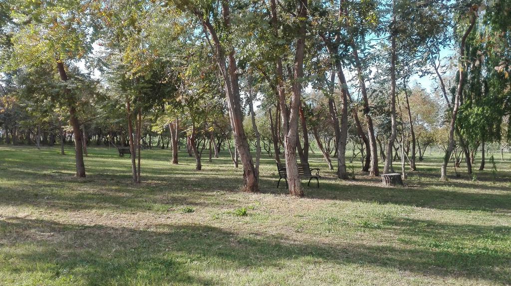 Agriturismo Lupo Cerrino Tarquinia Exterior foto